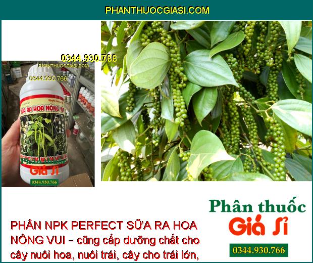 PHÂN NPK PERFECT SỮA RA HOA NÔNG VUI – Hoa Ra Đồng Loạt - Mập Khỏe - Tăng Đậu Trái