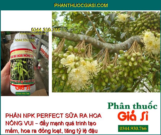 PHÂN NPK PERFECT SỮA RA HOA NÔNG VUI – Hoa Ra Đồng Loạt - Mập Khỏe - Tăng Đậu Trái