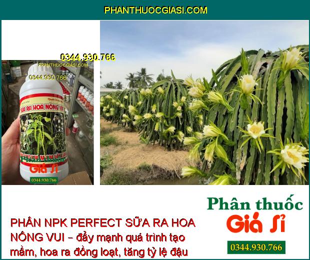 PHÂN NPK PERFECT SỮA RA HOA NÔNG VUI – Hoa Ra Đồng Loạt - Mập Khỏe - Tăng Đậu Trái