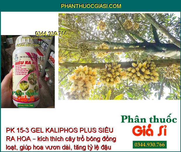 PK 15-3 GEL KALIPHOS PLUS SIÊU RA HOA – Bung Hoa Đồng Loạt - Tăng Đậu Trái - Hạn Chế Rụng Trái Non