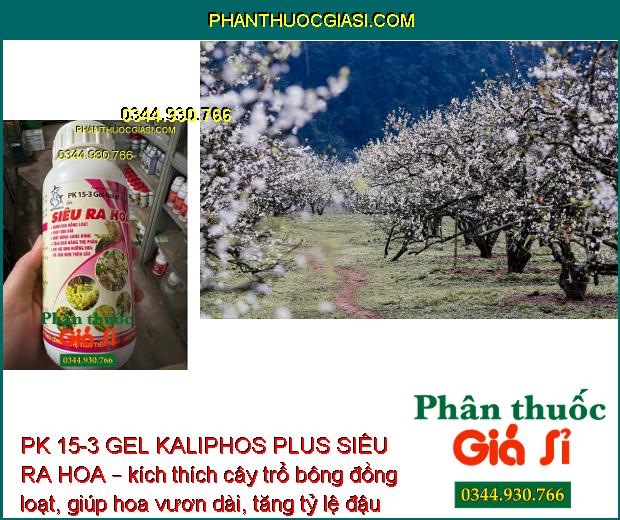 PK 15-3 GEL KALIPHOS PLUS SIÊU RA HOA – Bung Hoa Đồng Loạt - Tăng Đậu Trái - Hạn Chế Rụng Trái Non