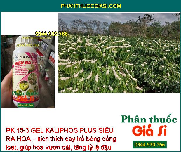 PK 15-3 GEL KALIPHOS PLUS SIÊU RA HOA – Bung Hoa Đồng Loạt - Tăng Đậu Trái - Hạn Chế Rụng Trái Non