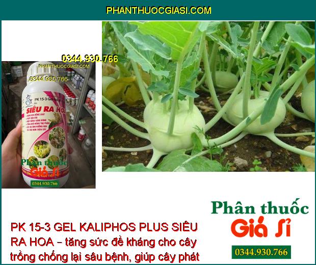 PK 15-3 GEL KALIPHOS PLUS SIÊU RA HOA – Bung Hoa Đồng Loạt - Tăng Đậu Trái - Hạn Chế Rụng Trái Non