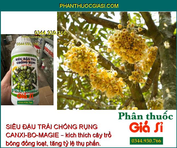 SIÊU ĐẬU TRÁI CHỐNG RỤNG CANXI-BO-MAGIE – Chống Rụng Trái - Chống Thối Trái - Nứt Trái