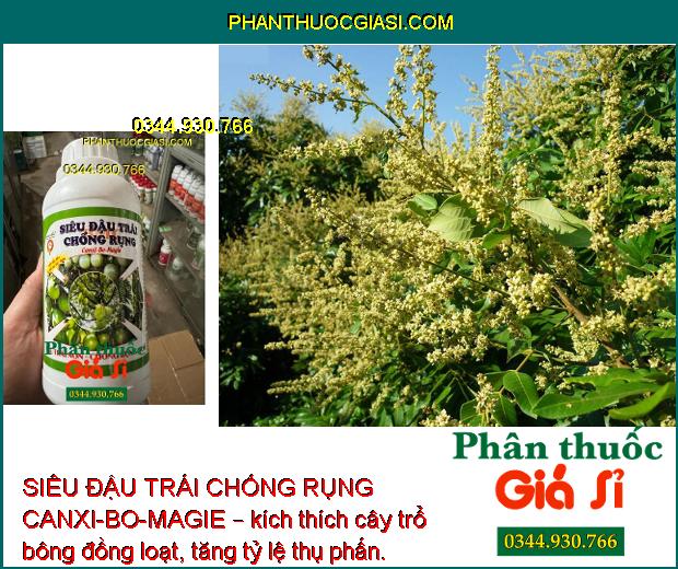 SIÊU ĐẬU TRÁI CHỐNG RỤNG CANXI-BO-MAGIE – Chống Rụng Trái - Chống Thối Trái - Nứt Trái