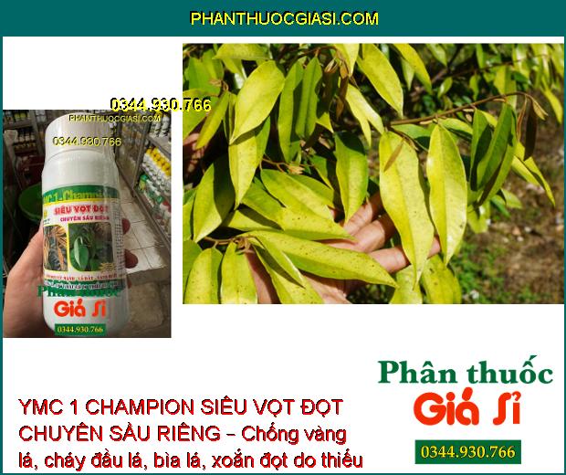 YMC 1 CHAMPION SIÊU VỌT ĐỌT CHUYÊN SẦU RIÊNG – Kích Rễ - Kích Cây Đâm Đọt - Chống Vàng Lá