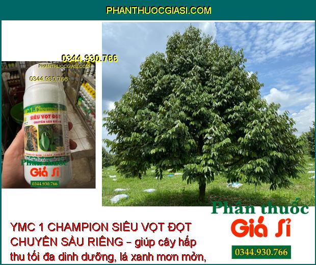 YMC 1 CHAMPION SIÊU VỌT ĐỌT CHUYÊN SẦU RIÊNG – Kích Rễ - Kích Cây Đâm Đọt - Chống Vàng Lá