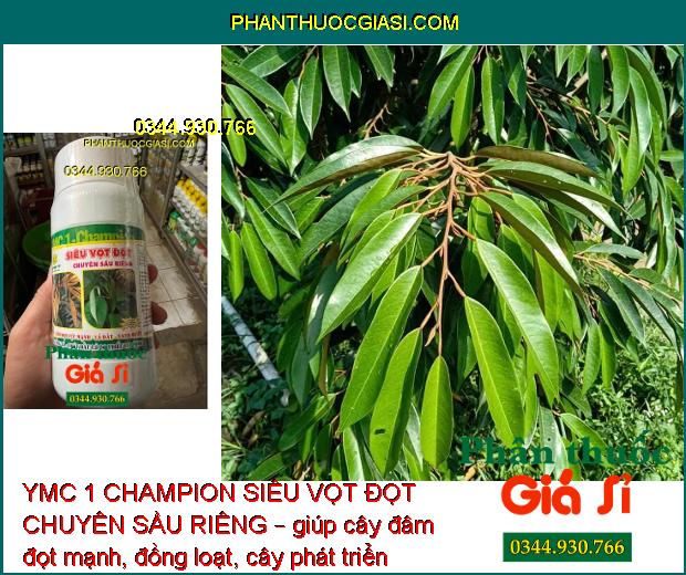 YMC 1 CHAMPION SIÊU VỌT ĐỌT CHUYÊN SẦU RIÊNG – Kích Rễ - Kích Cây Đâm Đọt - Chống Vàng Lá