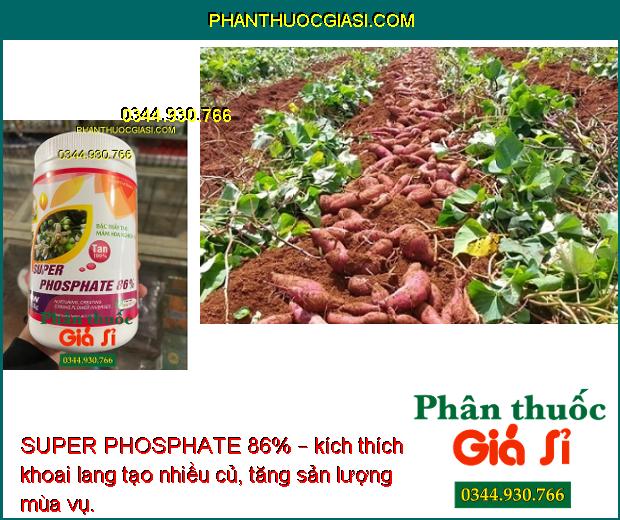 SUPER PHOSPHATE 86% – Chuyên Tạo Mầm Hoa Vụ Nghịch - Ức chế ngọn - Hạn Chế Đi Đọt