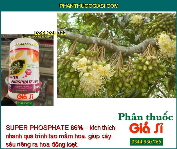 SUPER PHOSPHATE 86% – Chuyên Tạo Mầm Hoa Vụ Nghịch - Ức chế ngọn - Hạn Chế Đi Đọt