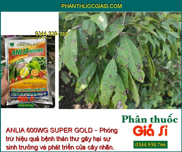 ANLIA 600WG SUPER GOLD – Phòng Trừ Hữu Hiệu Bệnh Do Nấm Và Vi Khuẩn Gây Hại Cây Trồng