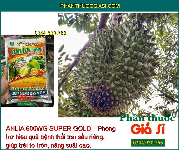 ANLIA 600WG SUPER GOLD – Phòng Trừ Hữu Hiệu Bệnh Do Nấm Và Vi Khuẩn Gây Hại Cây Trồng