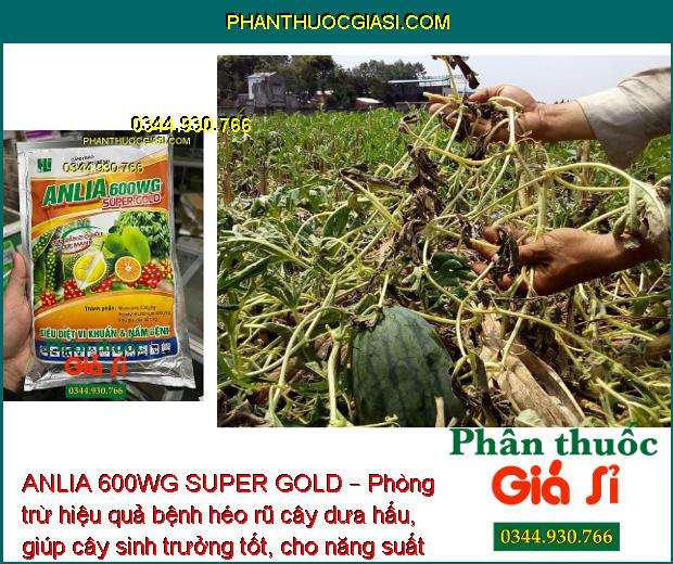 ANLIA 600WG SUPER GOLD – Phòng Trừ Hữu Hiệu Bệnh Do Nấm Và Vi Khuẩn Gây Hại Cây Trồng