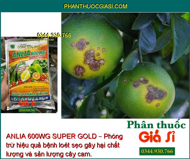 ANLIA 600WG SUPER GOLD – Phòng Trừ Hữu Hiệu Bệnh Do Nấm Và Vi Khuẩn Gây Hại Cây Trồng