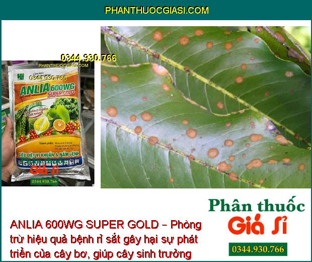 ANLIA 600WG SUPER GOLD – Phòng Trừ Hữu Hiệu Bệnh Do Nấm Và Vi Khuẩn Gây Hại Cây Trồng