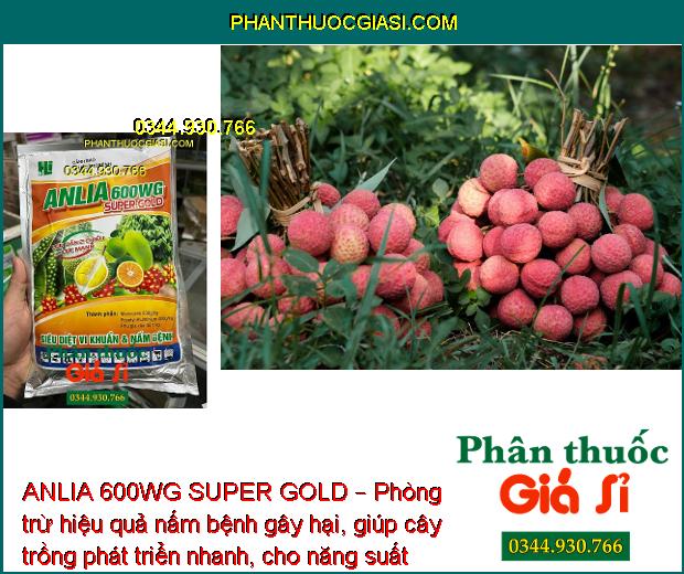 ANLIA 600WG SUPER GOLD – Phòng Trừ Hữu Hiệu Bệnh Do Nấm Và Vi Khuẩn Gây Hại Cây Trồng