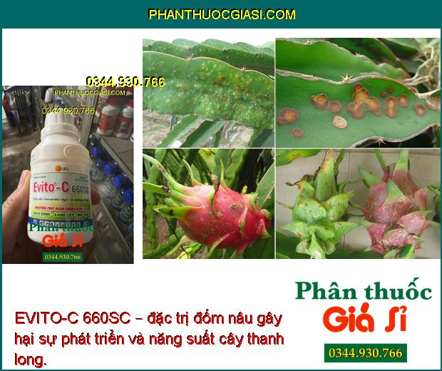 EVITO-C 660SC –  Chuyên Trừ Nấm Bệnh Khó Trị