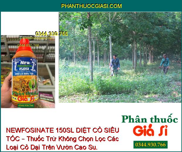 NEWFOSINATE 150SL DIỆT CỎ SIÊU TỐC – Thuốc Trừ Cỏ Không Chọn Lọc Trên Vườn Cao Su