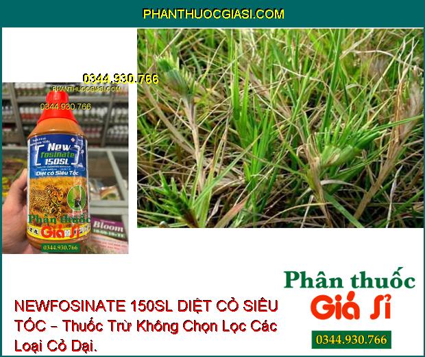 NEWFOSINATE 150SL DIỆT CỎ SIÊU TỐC – Thuốc Trừ Cỏ Không Chọn Lọc Trên Vườn Cao Su