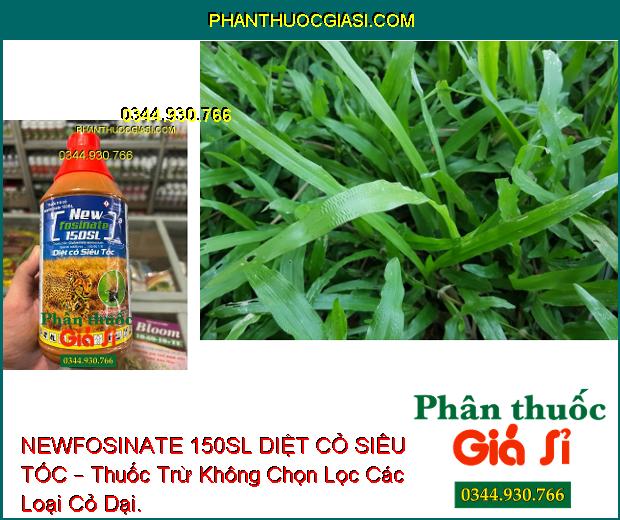 NEWFOSINATE 150SL DIỆT CỎ SIÊU TỐC – Thuốc Trừ Cỏ Không Chọn Lọc Trên Vườn Cao Su