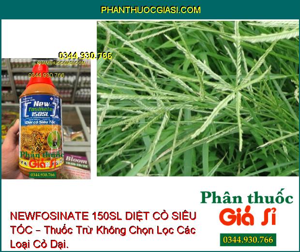 NEWFOSINATE 150SL DIỆT CỎ SIÊU TỐC – Thuốc Trừ Cỏ Không Chọn Lọc Trên Vườn Cao Su