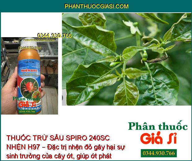 THUỐC TRỪ SÂU SPIRO 240SC NHỆN H97 – Đặc Trị Các Loại Côn Trùng Chích Hút 