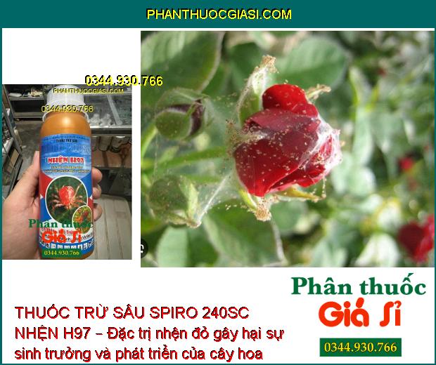 THUỐC TRỪ SÂU SPIRO 240SC NHỆN H97 – Đặc Trị Các Loại Côn Trùng Chích Hút 