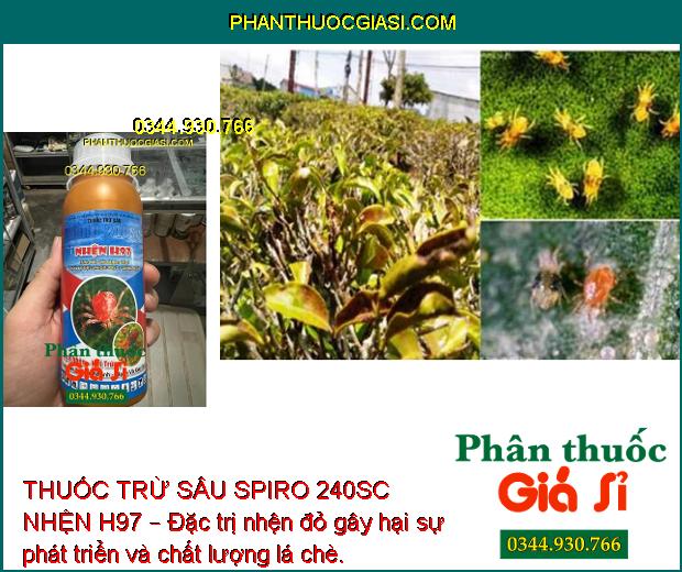 THUỐC TRỪ SÂU SPIRO 240SC NHỆN H97 – Đặc Trị Các Loại Côn Trùng Chích Hút 