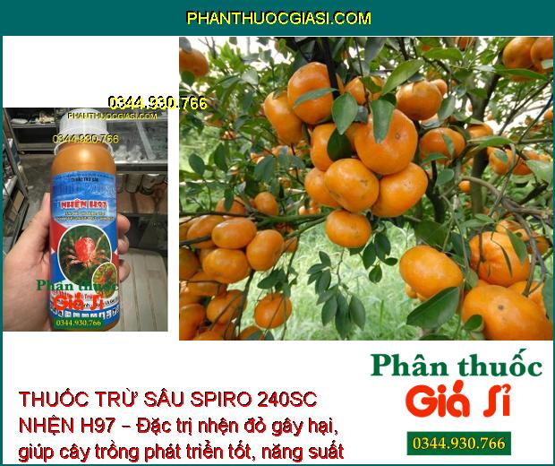 THUỐC TRỪ SÂU SPIRO 240SC NHỆN H97 – Đặc Trị Các Loại Côn Trùng Chích Hút 