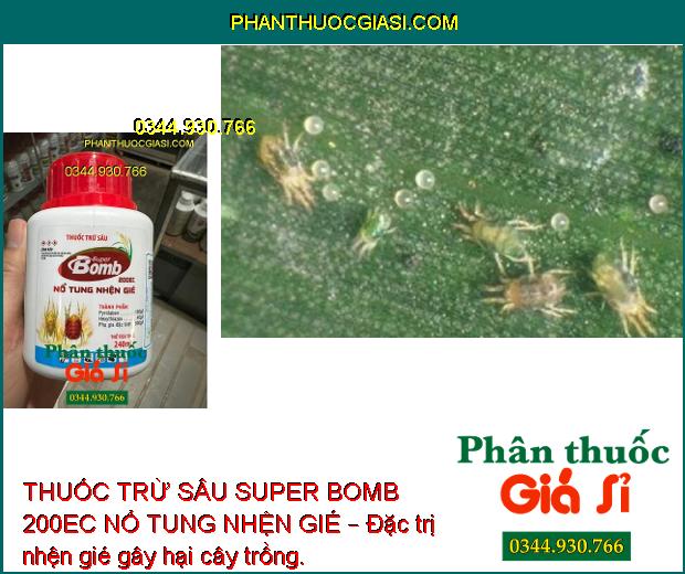 THUỐC TRỪ SÂU SUPER BOMB 200EC NỔ TUNG NHỆN GIÉ – Đặc Trị Nhện Gié Gây Hại Trên Lúa