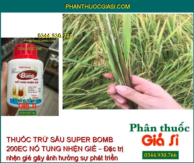 THUỐC TRỪ SÂU SUPER BOMB 200EC NỔ TUNG NHỆN GIÉ – Đặc Trị Nhện Gié Gây Hại Trên Lúa