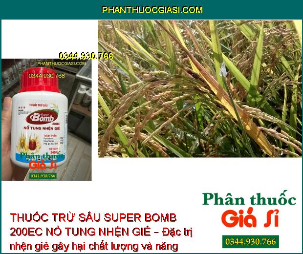 THUỐC TRỪ SÂU SUPER BOMB 200EC NỔ TUNG NHỆN GIÉ – Đặc Trị Nhện Gié Gây Hại Trên Lúa