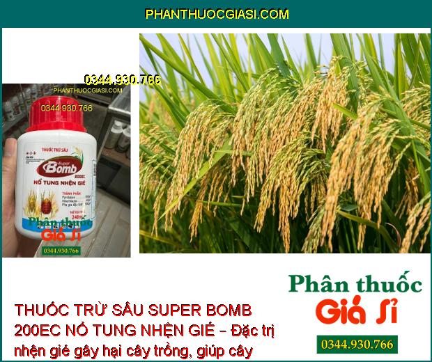 THUỐC TRỪ SÂU SUPER BOMB 200EC NỔ TUNG NHỆN GIÉ – Đặc Trị Nhện Gié Gây Hại Trên Lúa