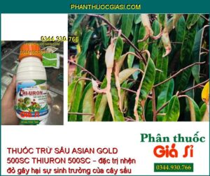 THUỐC TRỪ SÂU ASIAN GOLD 500SC THIURON 500SC – Đặc Trị Các Loại Sâu - Nhện Gây Hại