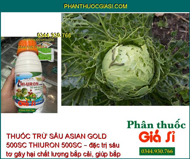 THUỐC TRỪ SÂU ASIAN GOLD 500SC THIURON 500SC – Đặc Trị Các Loại Sâu - Nhện Gây Hại