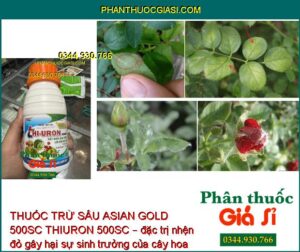 THUỐC TRỪ SÂU ASIAN GOLD 500SC THIURON 500SC – Đặc Trị Các Loại Sâu - Nhện Gây Hại