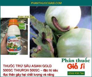 THUỐC TRỪ SÂU ASIAN GOLD 500SC THIURON 500SC – Đặc Trị Các Loại Sâu - Nhện Gây Hại