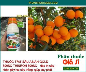 THUỐC TRỪ SÂU ASIAN GOLD 500SC THIURON 500SC – Đặc Trị Các Loại Sâu - Nhện Gây Hại