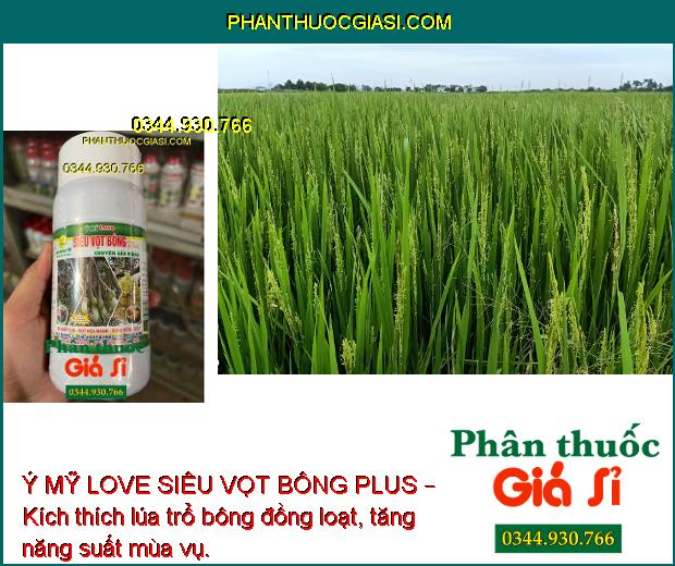 Ý MỸ LOVE SIÊU VỌT BÔNG PLUS – Kích Thích Ra Hoa Trái Vụ 