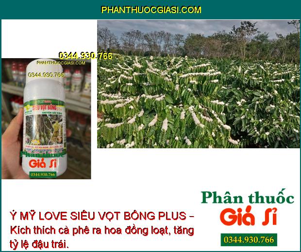 Ý MỸ LOVE SIÊU VỌT BÔNG PLUS – Kích Thích Ra Hoa Trái Vụ 