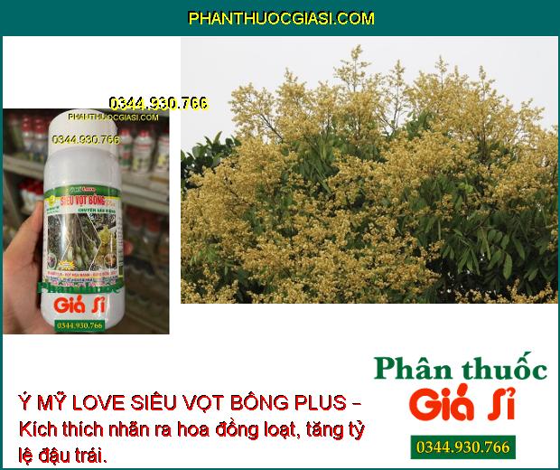 Ý MỸ LOVE SIÊU VỌT BÔNG PLUS – Kích Thích Ra Hoa Trái Vụ 