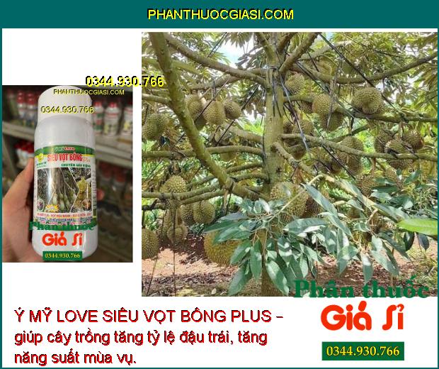 Ý MỸ LOVE SIÊU VỌT BÔNG PLUS – Kích Thích Ra Hoa Trái Vụ 