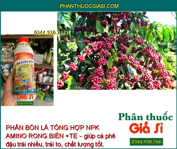 PHÂN BÓN LÁ TỔNG HOP NPK AMINO RONG BIỂN +TE – Tăng Trưởng Nhanh - Ra Rễ Mạnh - Nở Bụt To