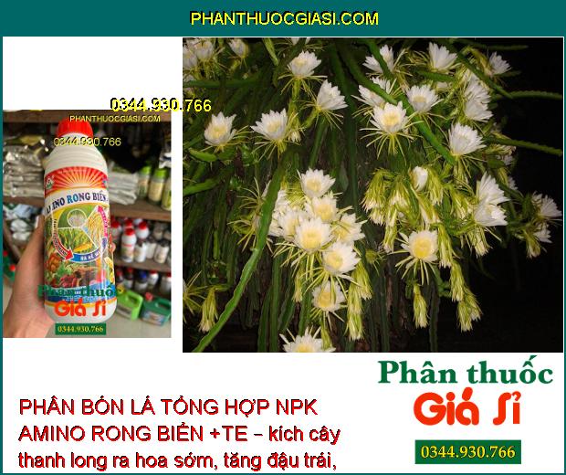 PHÂN BÓN LÁ TỔNG HOP NPK AMINO RONG BIỂN +TE – Tăng Trưởng Nhanh - Ra Rễ Mạnh - Nở Bụt To