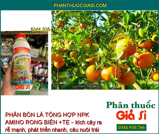 PHÂN BÓN LÁ TỔNG HOP NPK AMINO RONG BIỂN +TE – Tăng Trưởng Nhanh - Ra Rễ Mạnh - Nở Bụt To