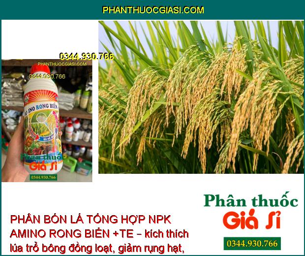 PHÂN BÓN LÁ TỔNG HOP NPK AMINO RONG BIỂN +TE – Tăng Trưởng Nhanh - Ra Rễ Mạnh - Nở Bụt To