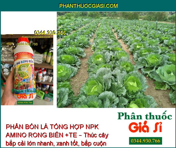 PHÂN BÓN LÁ TỔNG HOP NPK AMINO RONG BIỂN +TE – Tăng Trưởng Nhanh - Ra Rễ Mạnh - Nở Bụt To