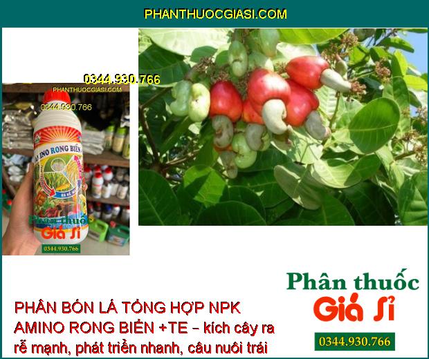 PHÂN BÓN LÁ TỔNG HOP NPK AMINO RONG BIỂN +TE – Tăng Trưởng Nhanh - Ra Rễ Mạnh - Nở Bụt To