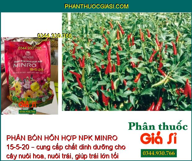 PHÂN BÓN HỖN HỢP NPK MINRO 15-5-20 – Kích Ra Hoa Đồng Loạt - Nuôi Trái Lớn Nhanh - Bộ Rễ Khỏe - Lá Xanh