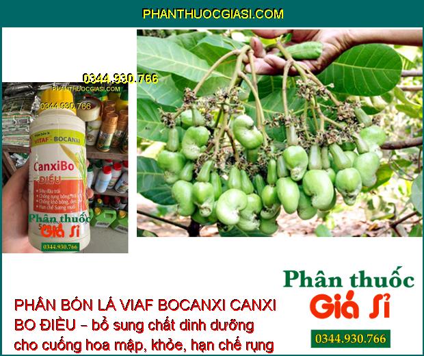 PHÂN BÓN LÁ VIAF BOCANXI CANXI BO ĐIỀU – Siêu Đậu Trái - Chống Rụng -Trái Non - Chống Khô Bông - Đen Trái